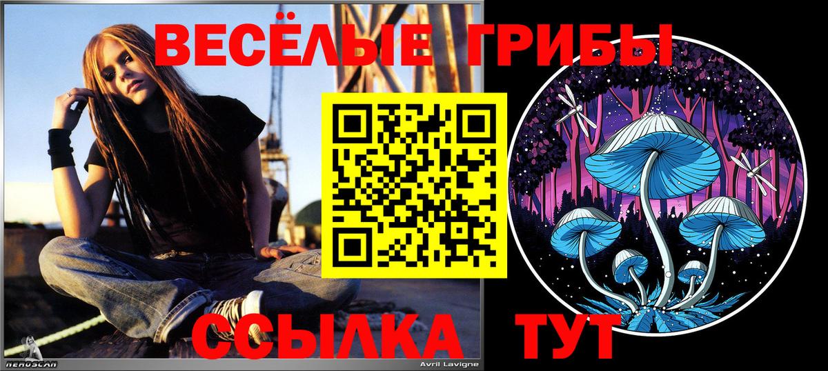 Псилоцибиновые грибы Psilocybe Мегион