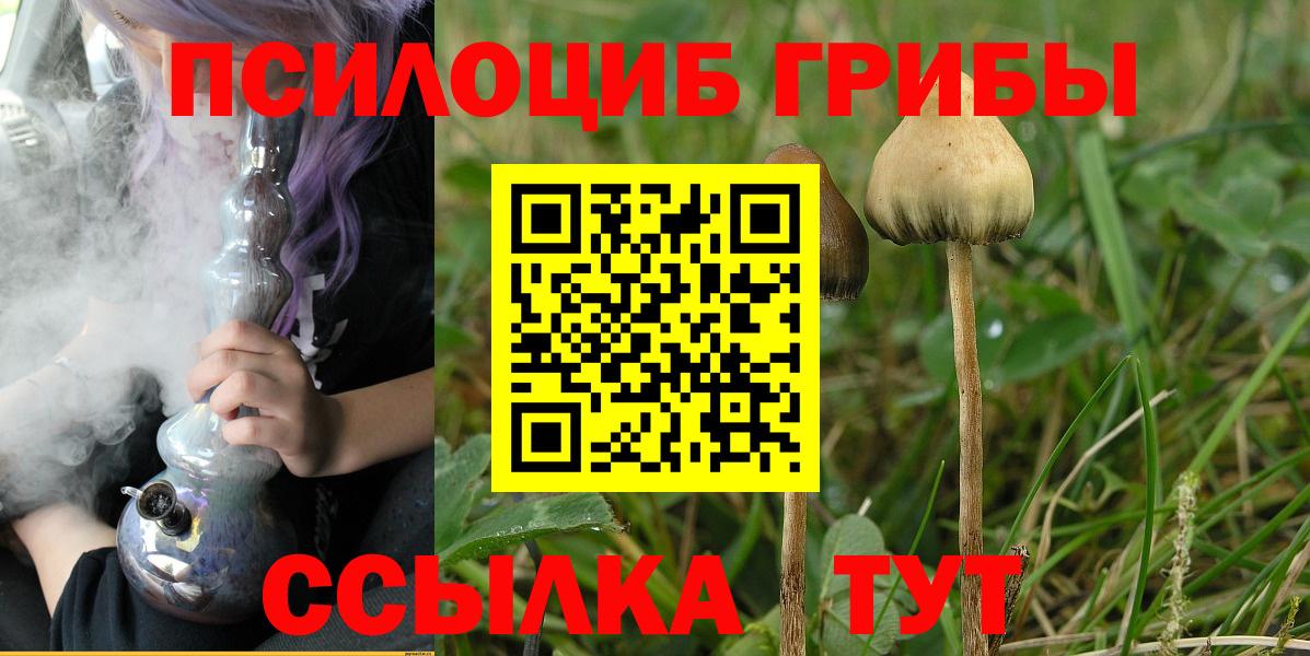 Мегион  что такое наркотик  Вход с VPN  Галлюциногенные грибы Psilocybe 